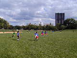 Click to see P9160058.JPG